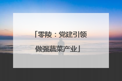 零陵：党建引领 做强蔬菜产业