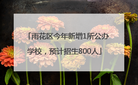 雨花区今年新增1所公办学校，预计招生800人