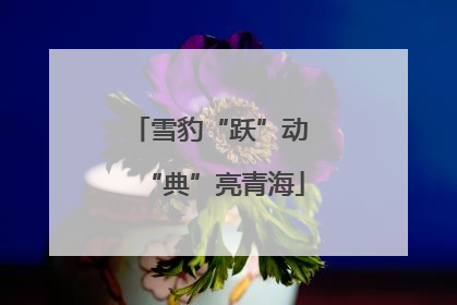 雪豹“跃”动 “典”亮青海
