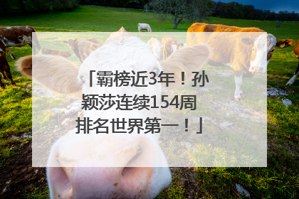 霸榜近3年！孙颖莎连续154周排名世界第一！