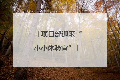 项目部迎来“小小体验官”