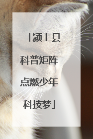 颍上县科普矩阵点燃少年科技梦