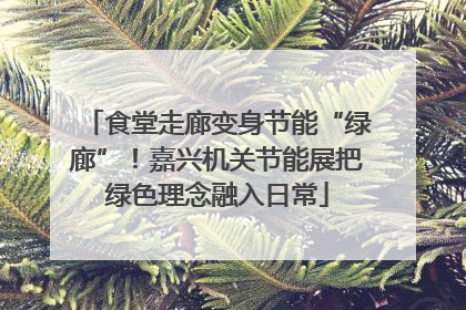 食堂走廊变身节能“绿廊”！嘉兴机关节能展把绿色理念融入日常