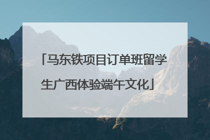 马东铁项目订单班留学生广西体验端午文化