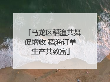 马龙区稻渔共舞促增收 稻渔订单生产共致富