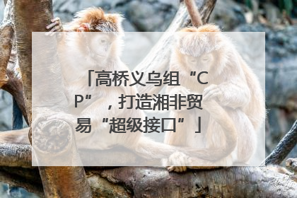 高桥义乌组“CP”，打造湘非贸易“超级接口”