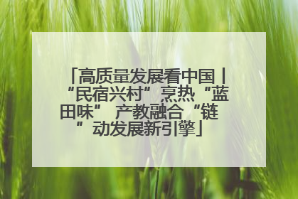 高质量发展看中国丨“民宿兴村”烹热“蓝田味” 产教融合“链”动发展新引擎