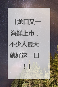 龙口又一海鲜上市，不少人夏天就好这一口！