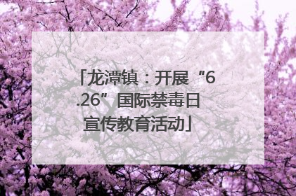 龙潭镇：开展“6.26”国际禁毒日宣传教育活动