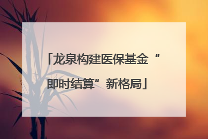 龙泉构建医保基金“即时结算”新格局