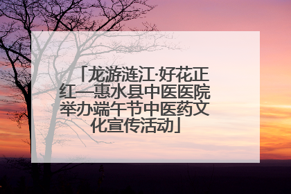 龙游涟江·好花正红—惠水县中医医院举办端午节中医药文化宣传活动