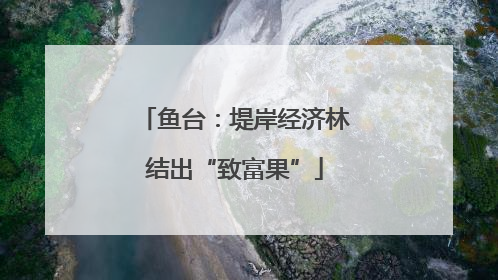鱼台：堤岸经济林结出“致富果”
