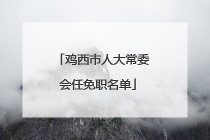 鸡西市人大常委会任免职名单