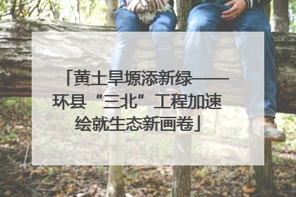 黄土旱塬添新绿——环县“三北”工程加速绘就生态新画卷