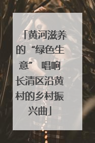 黄河滋养的“绿色生意” 唱响长清区沿黄村的乡村振兴曲