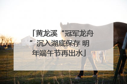黄龙溪“冠军龙舟”沉入湖底保存 明年端午节再出水