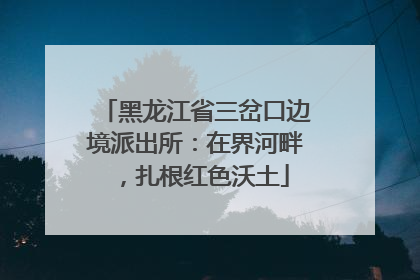黑龙江省三岔口边境派出所：在界河畔，扎根红色沃土