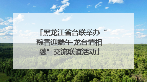 黑龙江省台联举办“粽香迎端午·龙台情相融”交流联谊活动