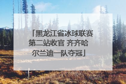 黑龙江省冰球联赛第二站收官 齐齐哈尔兰迪一队夺冠