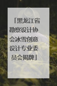 黑龙江省勘察设计协会冰雪创意设计专业委员会揭牌