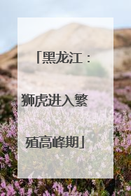 黑龙江：狮虎进入繁殖高峰期