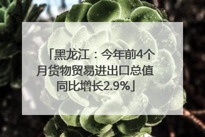 黑龙江：今年前4个月货物贸易进出口总值同比增长2.9%