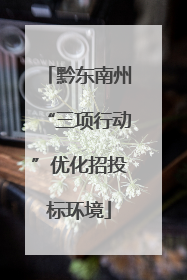 黔东南州“三项行动”优化招投标环境