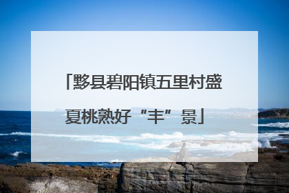 黟县碧阳镇五里村盛夏桃熟好“丰”景