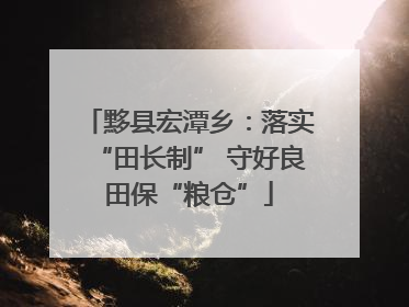 黟县宏潭乡：落实“田长制” 守好良田保“粮仓”