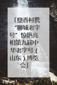 鼎香村携“聊城老字号”惊艳亮相第九届中华老字号（山东）博览会
