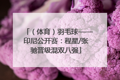 （体育）羽毛球——印尼公开赛：程星/张驰晋级混双八强