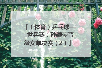 （体育）乒乓球——世乒赛：孙颖莎晋级女单决赛（2）