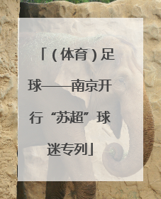 （体育）足球——南京开行“苏超”球迷专列