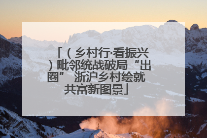 （乡村行·看振兴）毗邻统战破局“出圈” 浙沪乡村绘就共富新图景