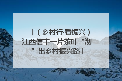 （乡村行·看振兴）江西信丰一片茶叶“沏”出乡村振兴路