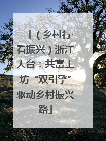 （乡村行·看振兴）浙江天台：共富工坊“双引擎”驱动乡村振兴路