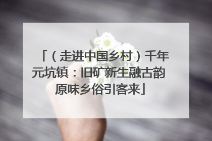 （走进中国乡村）千年元坑镇：旧矿新生融古韵 原味乡俗引客来