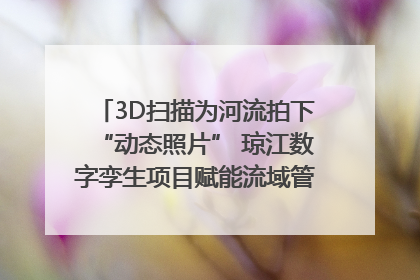 3D扫描为河流拍下“动态照片” 琼江数字孪生项目赋能流域管理｜新闻发布最前线