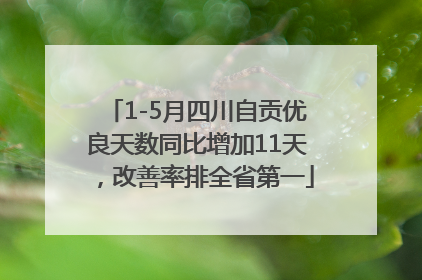 1-5月四川自贡优良天数同比增加11天，改善率排全省第一