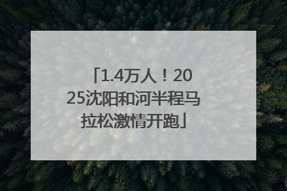 1.4万人！2025沈阳和河半程马拉松激情开跑