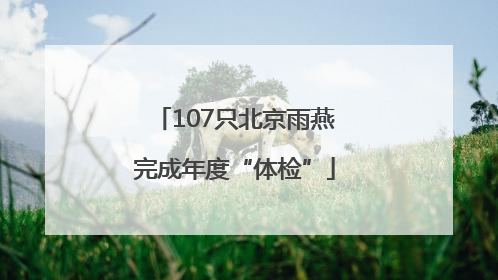 107只北京雨燕完成年度“体检”