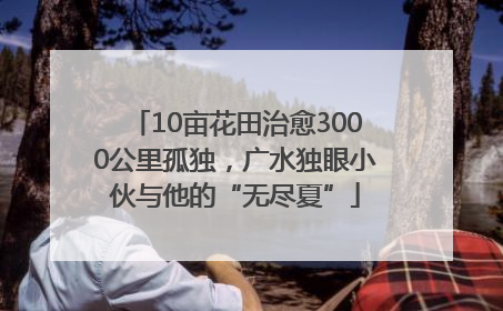 10亩花田治愈3000公里孤独，广水独眼小伙与他的“无尽夏”