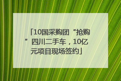 10国采购团“抢购”四川二手车，10亿元项目现场签约