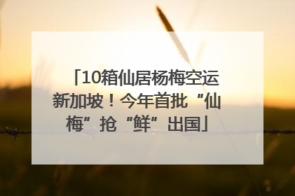 10箱仙居杨梅空运新加坡！今年首批“仙梅”抢“鲜”出国