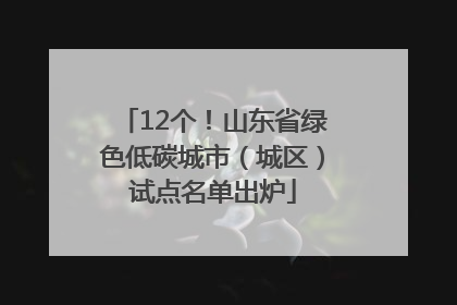 12个！山东省绿色低碳城市（城区）试点名单出炉