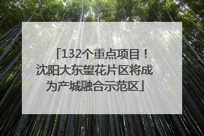 132个重点项目！沈阳大东望花片区将成为产城融合示范区
