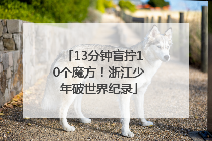 13分钟盲拧10个魔方！浙江少年破世界纪录