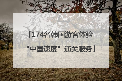 174名韩国游客体验“中国速度”通关服务