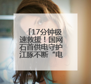 17分钟极速救援！国网石首供电守护江豚不断“电”