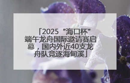2025“海口杯”端午龙舟国际邀请赛启幕，国内外近40支龙舟队竞逐海甸溪